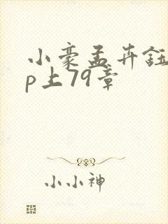 小豪孟卉钰慧三p上79章