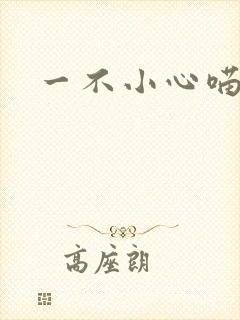 一不小心喵上你