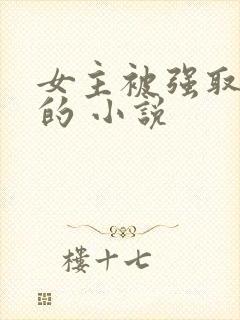 女主被强取豪夺的 小说封面
