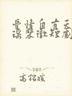 爱情自有天意宋瑶裴彻短剧第二季