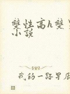 双性高h双男主小说