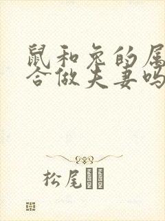 鼠和兔的属相适合做夫妻吗