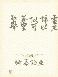 繁华似锦电视剧哪里可以免费观看