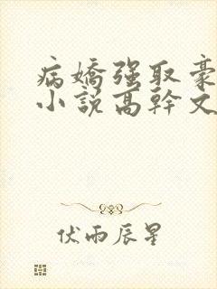 病娇强取豪夺的小说高干文