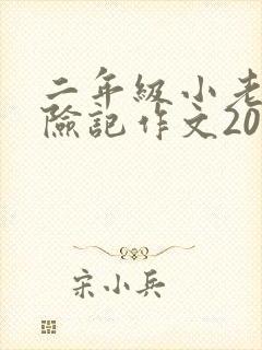 二年级小老鼠历险记作文200