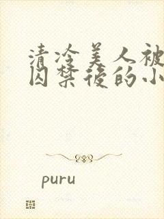 清冷美人被疯批囚禁后的小说免费阅读