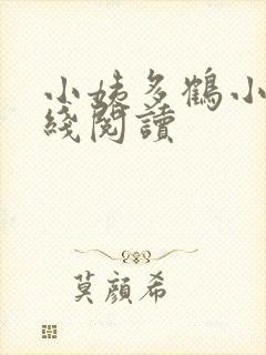 小姨多鹤小说在线阅读