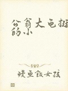 公翁大龟挺进我的小