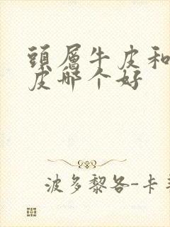 头层牛皮和植鞣皮哪个好