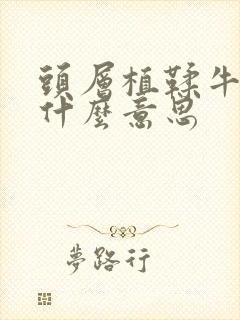 头层植鞣牛皮是什么意思