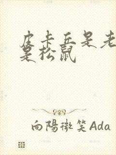 皮卡丘是老鼠还是松鼠