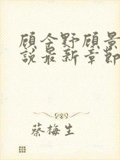 顾今野顾景年小说最新章节更新内容封面