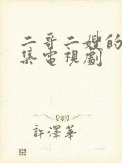 二哥二嫂的40集电视剧