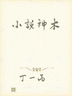 小说神木
