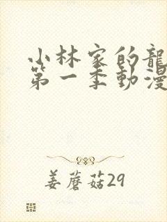 小林家的龙女仆第一季动漫