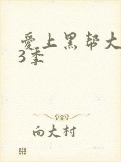 爱上黑帮大佬第3季封面