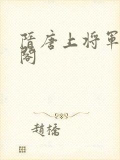 隋唐上将军笔趣阁