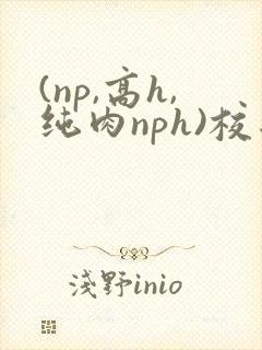(np,高h,纯肉nph)校园