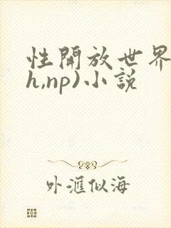 性开放世界(高h,np)小说