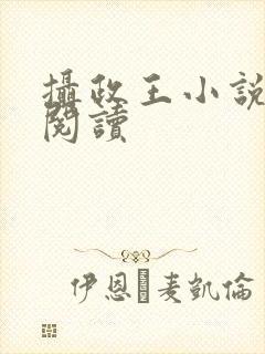 摄政王小说免费阅读封面