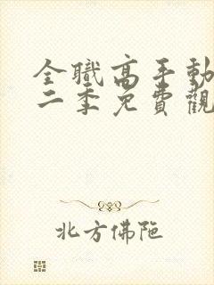 全职高手动漫第二季免费观看全集