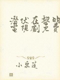 潜伏在黎明之前电视剧免费播放