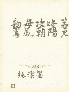 韵母攻略第二部鸾凤朝阳免费阅读