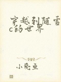 穿越到随处可以c的世界