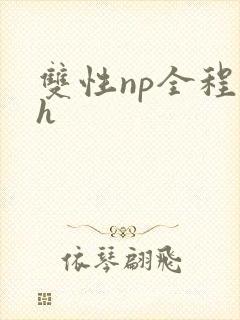 双性np全程高h