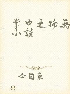 掌中之物无删减小说