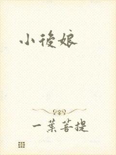 小后娘封面
