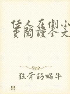 佳人在侧小说免费阅读全文无弹窗