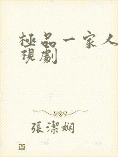 极品一家人 电视剧