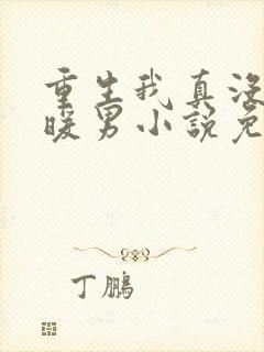 重生我真没想当暖男小说免费阅读