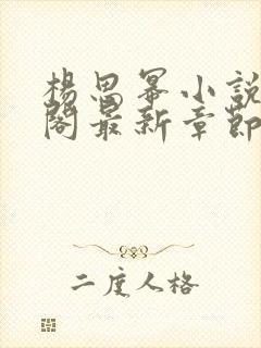 杨思幂小说笔趣阁最新章节