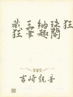 藏玉纳珠狂上加狂笔趣阁封面