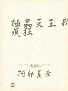 极品天王 我本疯狂