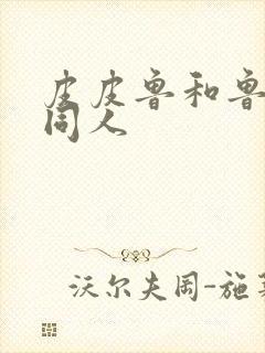 皮皮鲁和鲁西西同人封面