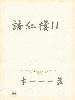 诱红楼11
