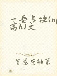 一受多攻(np高h)文