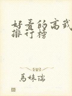 好看的高武小说排行榜封面