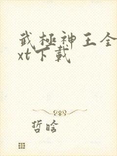 武极神王全本txt下载