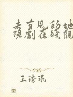 去有风的地方电视剧在线观看全集免费