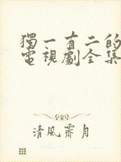 独一有二的她 电视剧全集免费