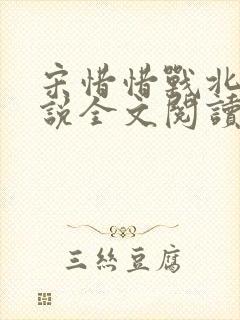 宋惜惜战北望小说全文阅读