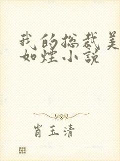 我的总裁美母柳如烟小说封面