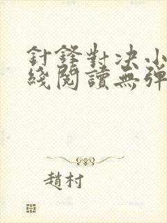 针锋对决小说在线阅读无弹窗封面