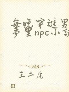 每晚穿进男神的梦里npc小说
