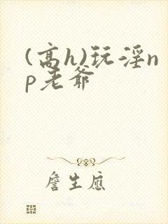 (高h)玩淫np老爷封面