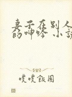 妻子在别人身上的呻吟 小说